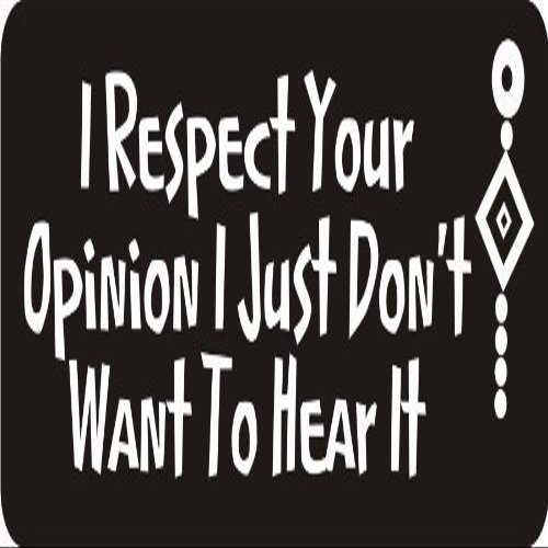 1080 Graphics 3 - I Respect Your Opinion I Just Don't Want to Hear It 1 1/4" x 3" Hard Hat Biker Helmet Stickers Bs259