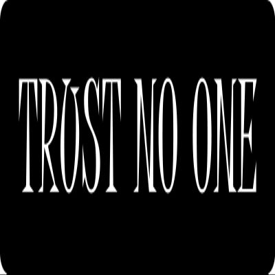 1080 Graphics 3 - Trust No One Hard Hat/Biker Helmet Sticker BS 918