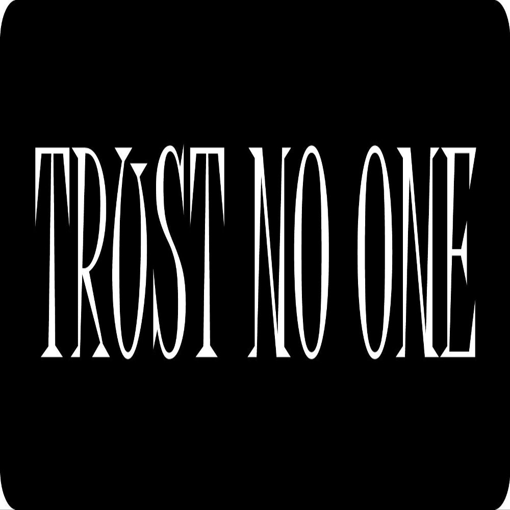 1080 Graphics 3 - Trust No One Hard Hat/Biker Helmet Sticker BS 918