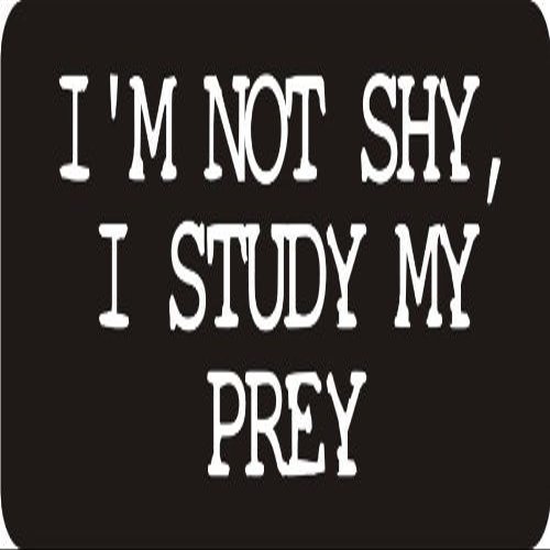 1080 Graphics 3 - I'm Not Shy, I Study My Prey 1 1/4" x 3" Hard Hat Biker Helmet Stickers Bs324