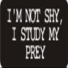 1080 Graphics 3 - I'm Not Shy, I Study My Prey 1 1/4" x 3" Hard Hat Biker Helmet Stickers Bs324 view 1
