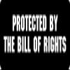 1080 Graphics 3 - Protected by The Bill of Rights Hard Hat/Biker Helmet Sticker BS 1182 view 1