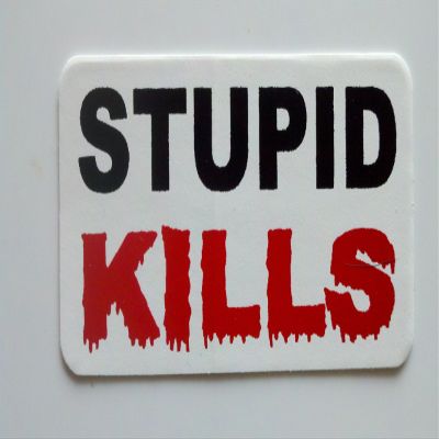 1080 Graphics 3 - Stupid Kills 2 Hard Hat/Helmet Stickers 1" x 2"