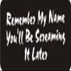 1080 Graphics 3 - Remember My Name You'll Be Screaming It Later 1 1/4" x 3" Hard Hat Biker Helmet Stickers Bs478 view 1