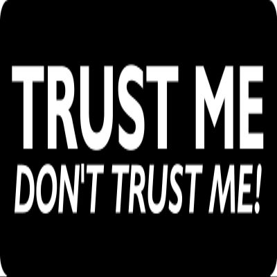 1080 Graphics 3 - Trust Me Don't Trust Me Hard Hat/Biker Helmet Sticker BS 914
