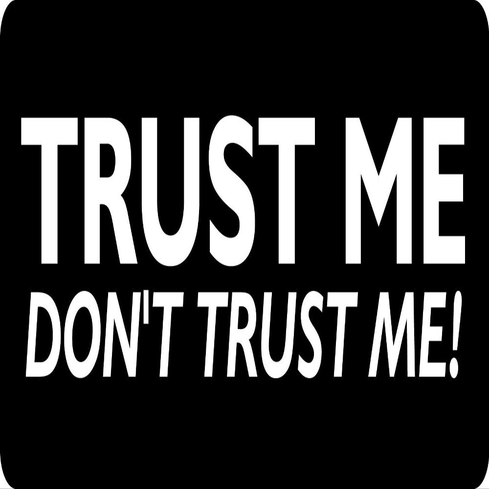 1080 Graphics 3 - Trust Me Don't Trust Me Hard Hat/Biker Helmet Sticker BS 914