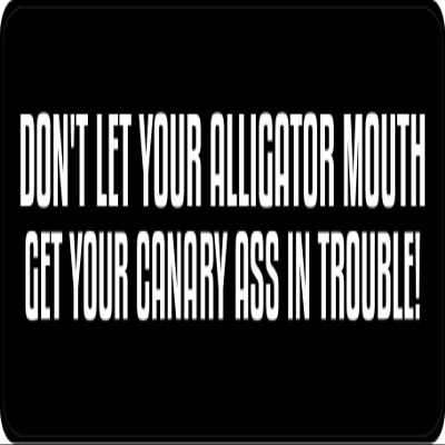 1080 Graphics 3 - Don't Let Your Alligator Mouth Hard Hat/Biker Helmet Sticker BS 753