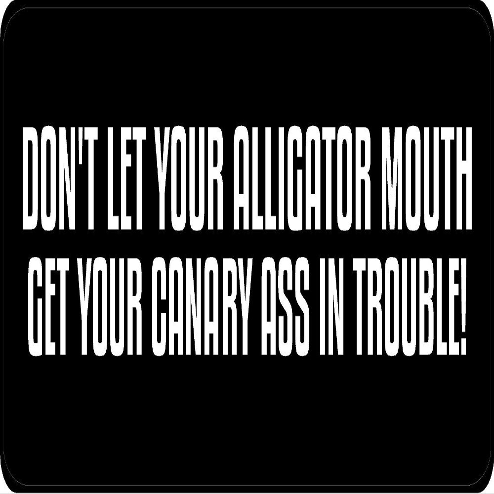 1080 Graphics 3 - Don't Let Your Alligator Mouth Hard Hat/Biker Helmet Sticker BS 753