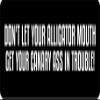 1080 Graphics 3 - Don't Let Your Alligator Mouth Hard Hat/Biker Helmet Sticker BS 753 view 1