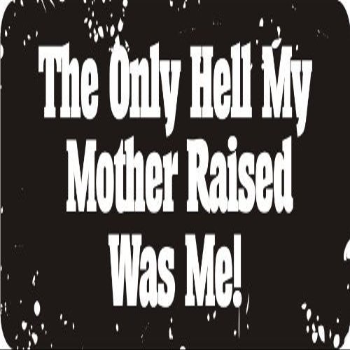 1080 Graphics 3 - The Only Hell My Mother Raised was Me! 1 1/4" x 3" Hard Hat Biker Helmet Stickers Bs541