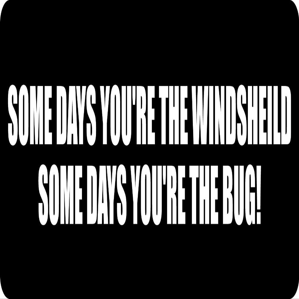 1080 Graphics 3 - Some Days You're The Windsheild Hard Hat/Biker Helmet Sticker BS 1045