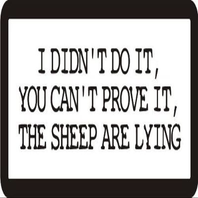1080 Graphics 3 - I Didn't Do It, You Can't Prove It, The Sheep are Lying 1 1/4" x 3" Hard Hat Biker Helmet Stickers Bs213