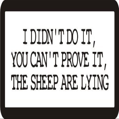 1080 Graphics 3 - I Didn't Do It, You Can't Prove It, The Sheep are Lying 1 1/4" x 3" Hard Hat Biker Helmet Stickers Bs213