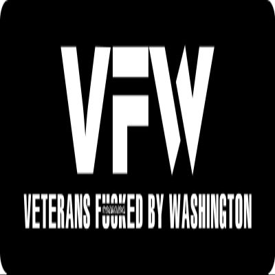 1080 Graphics 3 - VFW Veterans Fed by Washington Hard Hat/Biker Helmet Sticker BS 922