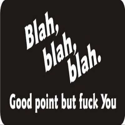 1080 Graphics 3 - Blah, Blah, Blah. Good Point But FuK You 1 1/4" x 3" Hard Hat Biker Helmet Stickers Bs074