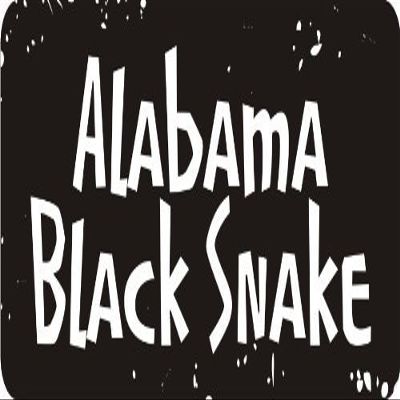 1080 Graphics 3 - Alabama Black Snake 1 1/4" x 3" Hard Hat Biker Helmet Stickers Bs026