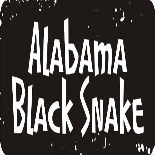 1080 Graphics 3 - Alabama Black Snake 1 1/4" x 3" Hard Hat Biker Helmet Stickers Bs026