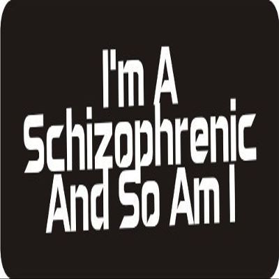 1080 Graphics 3 - I'm A Schizophrenic and So Am I 1 1/4" x 3" Hard Hat Biker Helmet Stickers Bs309
