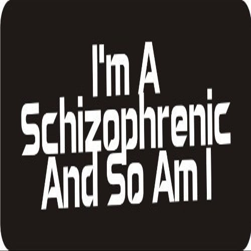 1080 Graphics 3 - I'm A Schizophrenic and So Am I 1 1/4" x 3" Hard Hat Biker Helmet Stickers Bs309