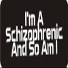 1080 Graphics 3 - I'm A Schizophrenic and So Am I 1 1/4" x 3" Hard Hat Biker Helmet Stickers Bs309 view 1