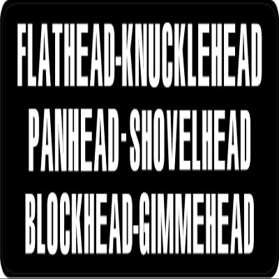 1080 Graphics 3 - Flathead Knucklehead Panhead Shovelhead Hard Hat/Biker Helmet Sticker BS 792