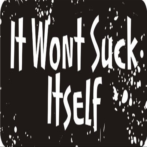 1080 Graphics 3 - It Wont Suck Itself 1 1/4" x 3" Hard Hat Biker Helmet Stickers Bs359