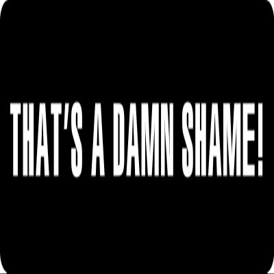 1080 Graphics 3 - That's A Damn Shame Hard Hat/Biker Helmet Sticker BS 1073
