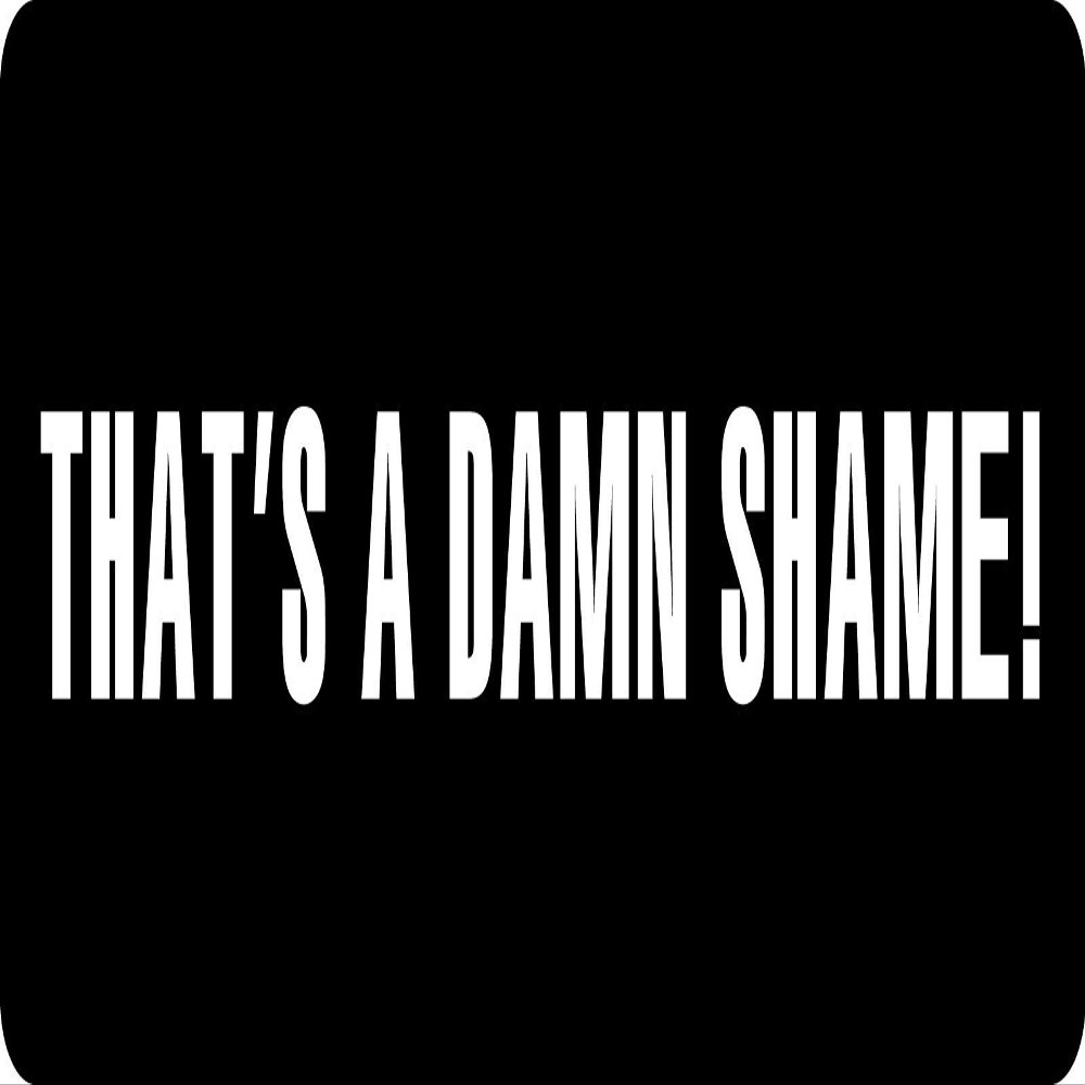 1080 Graphics 3 - That's A Damn Shame Hard Hat/Biker Helmet Sticker BS 1073