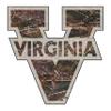 Virginia Decal (CAMO V Virginia Decal (3''6''12''), 3 in) view 1