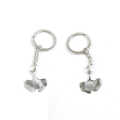 2 Pieces Keychain Keyring Door Car Key Chain Ring Tag Charms Supply B2XM6Z Ginkgo Biloba