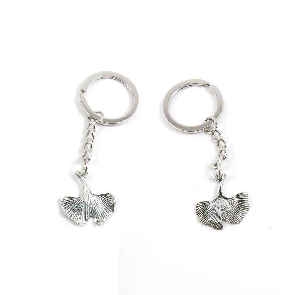 2 Pieces Keychain Keyring Door Car Key Chain Ring Tag Charms Supply B2XM6Z Ginkgo Biloba