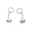 2 Pieces Keychain Keyring Door Car Key Chain Ring Tag Charms Supply B2XM6Z Ginkgo Biloba view 1