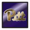 Pittsburgh (PA) HitchCover (Domed MIR Pitt Square Hitch (58044)) view 1