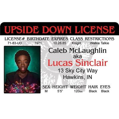 Signs 4 Fun Parody Drivers License | Stranger - Lucas ID | Fake ID Novelty Card | Collectible Trading Card Drivers License | Novelty Gift for Holidays | Made in the USA