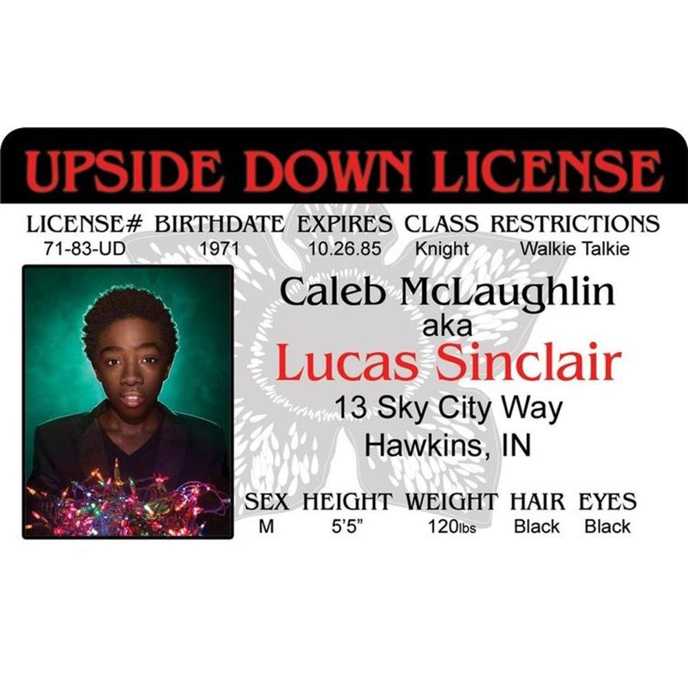 Signs 4 Fun Parody Drivers License | Stranger - Lucas ID | Fake ID Novelty Card | Collectible Trading Card Drivers License | Novelty Gift for Holidays | Made in the USA