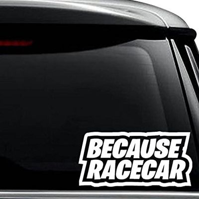 Because RaceCar JDM Japanese Decal Sticker For Use On Laptop, Helmet, Car, Truck, Motorcycle, Windows, Bumper, Wall, and Decor Size- [15 inch] / [38 cm] Wide / Color- Matte White