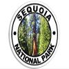 Magnet Round Sequoia National Park Magnetic Sticker (Decal rv Hike Hiking) view 1