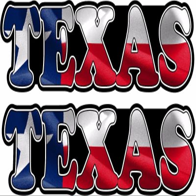 Magnet 2-3" Texas Text Decal Set Flag Texan Lone Star TX Longhorn Window Magnetic Sticker