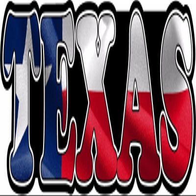 Magnet Texas Text Decal State Flag Lone Star TX Longhorn Texan Car Window Magnetic Sticker VAR
