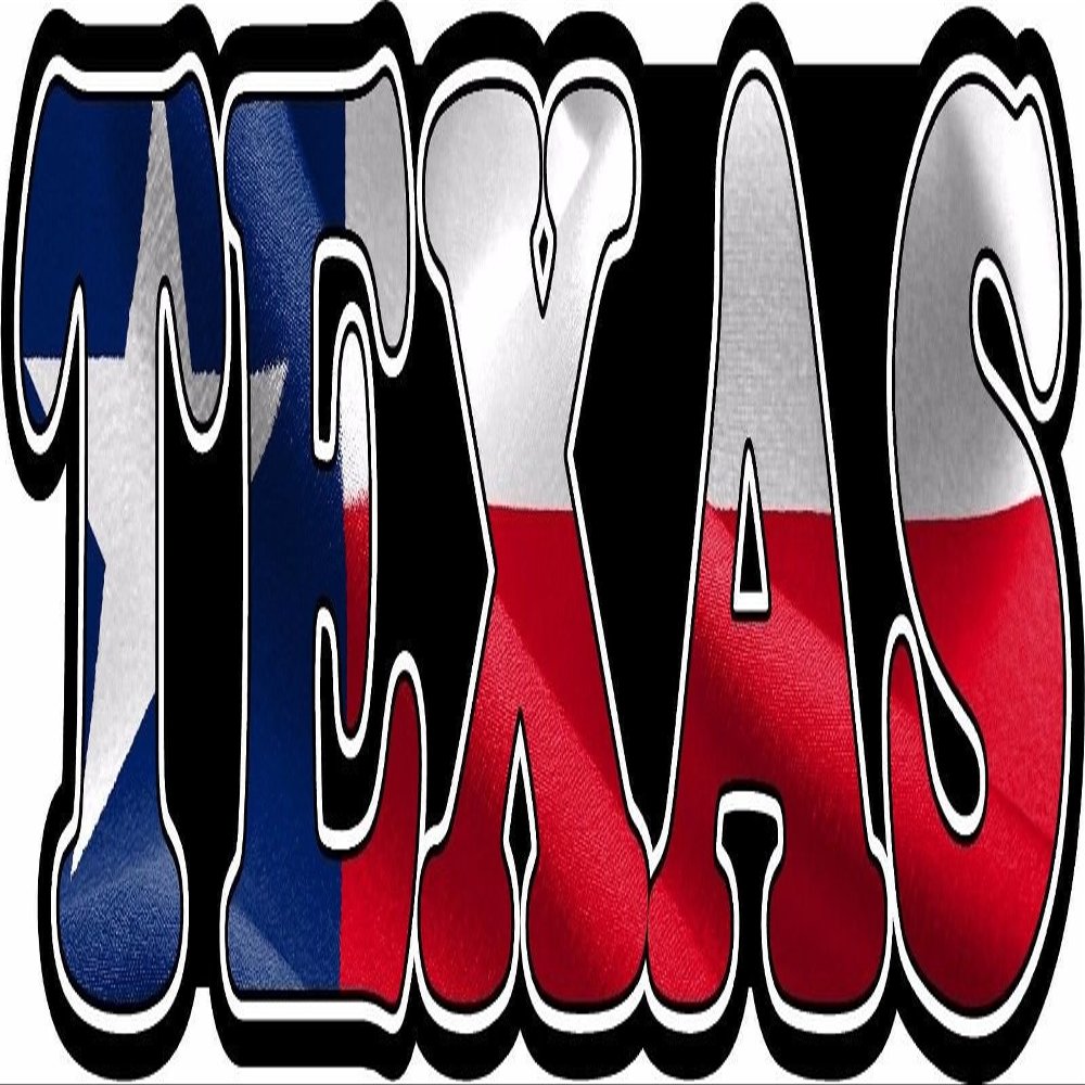 Magnet Texas Text Decal State Flag Lone Star TX Longhorn Texan Car Window Magnetic Sticker VAR