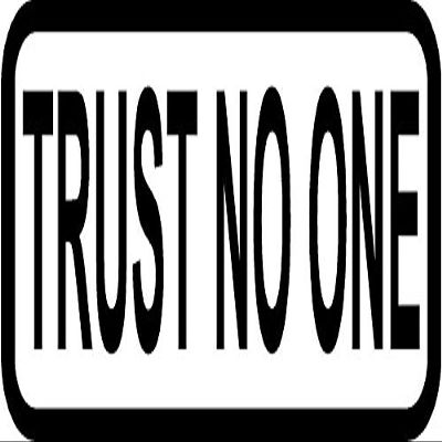 Magnet 3" Trust No One Decal Funny Anti Government Helmet Hard Hat Motorcycle Magnetic Sticker