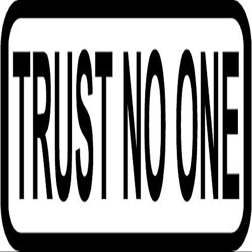 Magnet 3" Trust No One Decal Funny Anti Government Helmet Hard Hat Motorcycle Magnetic Sticker