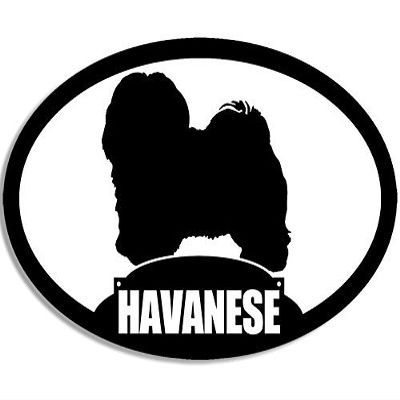 Magnet Oval Havanese Silhouette Magnetic Sticker (Dog Breed)
