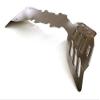Stainless Steel (Coated) Front Skid Plate for Traxxas 1/10 E-Maxx view 1