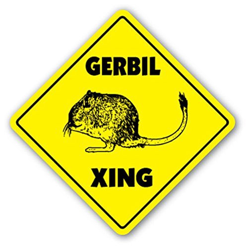 1080 Graphics Gerbil Crossing Sign Novelty Gift Animals Pets Kid Child Boy Girl Cage Animal Sticker 8"x8"
