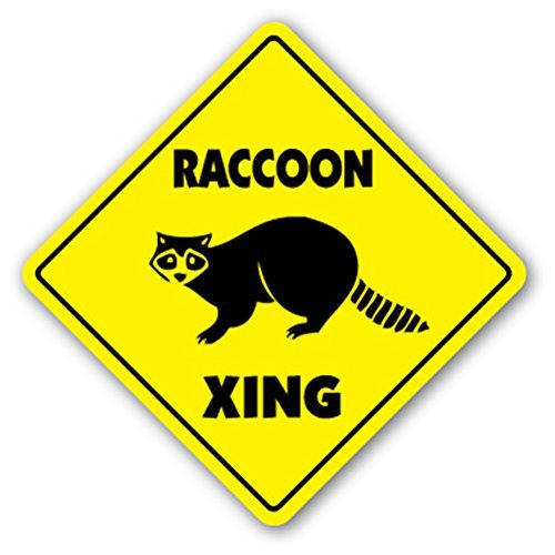 1080 Graphics Raccoon Crossing Sign Novelty Gift Animals Coon Hunter Hunting Wild Collectible Sticker 8"x8"