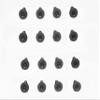 XKMT-16 PCs Compatible With Wrangler TJ YJ CJ Windshield Frame Screws/Allen Bolts/Fasteners [B077PQ79XX] view 1