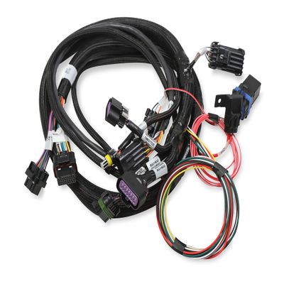Holley EFI 2X4 Terminator Stealth Main Harness