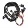 Holley EFI 2X4 Terminator Stealth Main Harness view 1