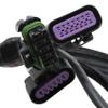 Holley EFI 2X4 Terminator Stealth Main Harness view 4